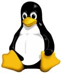 Gesti&oacute;n de ficheros en Linux (B&aacute;sico)